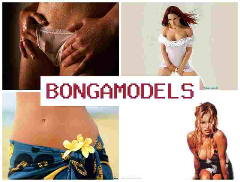 BONGAMDOELS 👩 편리하게 집에서 하는 웹캠 수익 활동, 24시간 지원