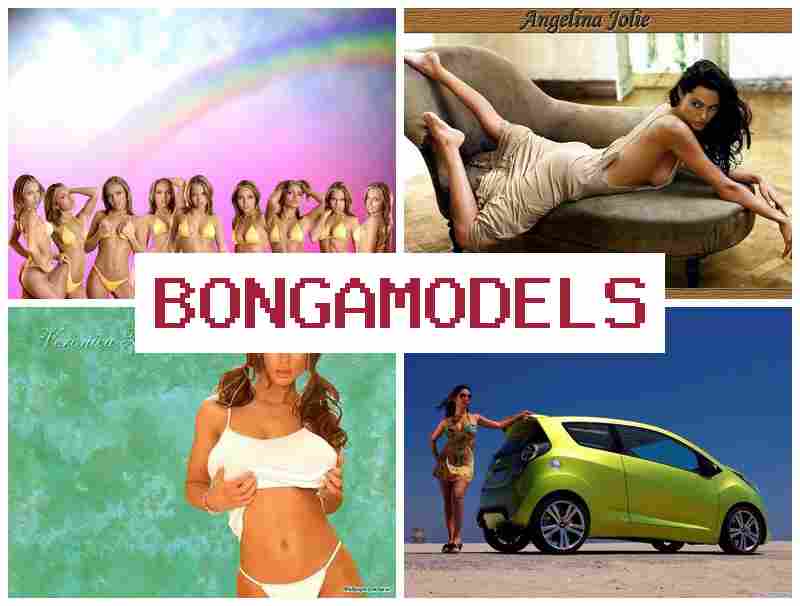 BONGO MODEL 🔷 재택근무로 합법적으로 일하는 홈 웹 모델 직업, 초보 가능