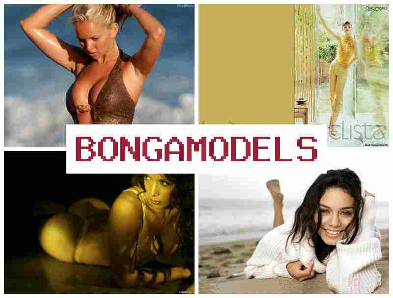 BONGQMODELS ⚡ 자택에서 안전하게 모델링 하는 웹 모델링 활동, 유연한 근무