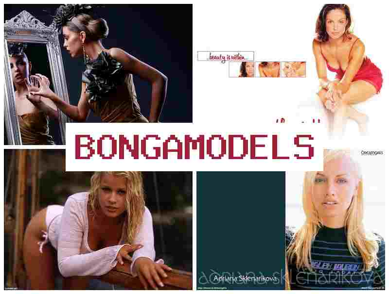 BONGAMODE;S ▓ 편안하게 온라인으로 활동하는 영상 채팅 모델링, 경험 필요 없음