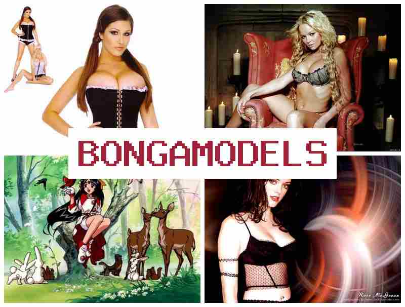 BONAMODELS 🎇 초보자도 가능한 웹 모델 활동, 높은 보수