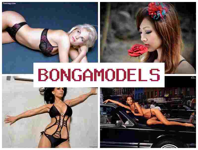 BONGAMODELD ▓ 편리하게 시작 인터넷 모델링, 높은 수익률 제공