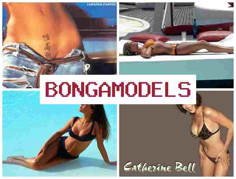 BONGAMOELS 🌐 Ho modely amin'ny internet any an-tokantrano, mahazo vola be isan-kerinandro