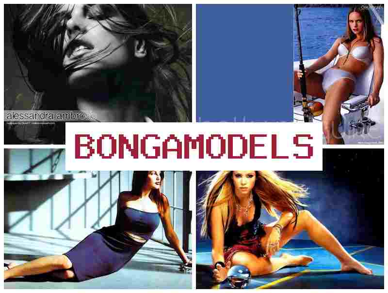 BONGS MODELS 👍 Miasa amin'ny finday ho an'ny rehetra, karama be isan-kerinandro