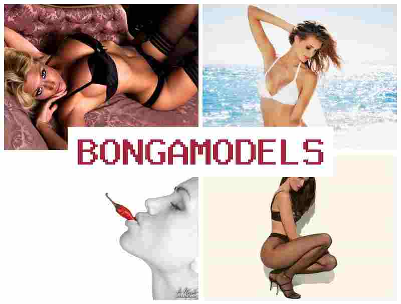BONGA MOFELS ⭕ Miasa amin'ny finday tsy mila traikefa, fandoavam-bola isan-kerinandro