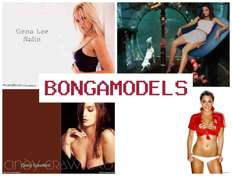 BOONGAMODELS 📹 Miasa modely an-tsary fandaharam-potoana malalaka, karama be any an-trano
