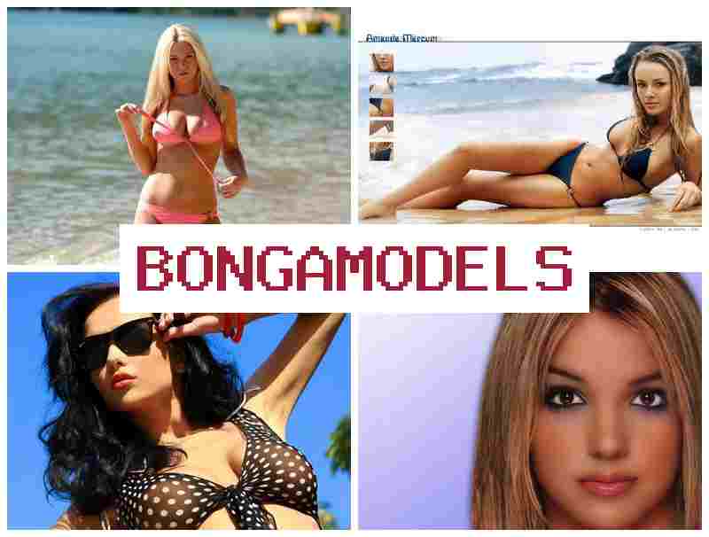 ONGAMODELS 💸 സ്മാർട്ട്ഫോൺ വഴിയുള്ള വെബ് മോഡലിംഗ് ഗവൺമെന്റ് അംഗീകൃത വർക്ക് തുടക്കക്കാർക്ക് പറ്റിയ ജോലി.
