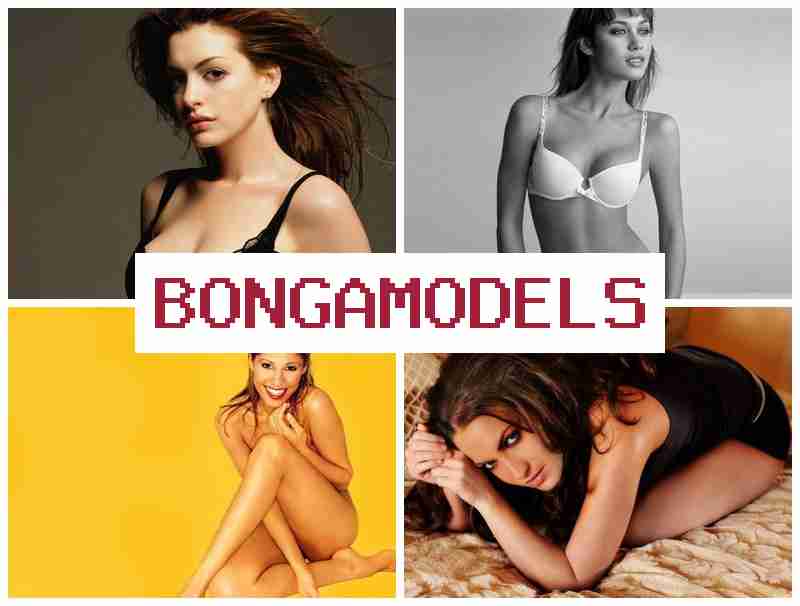 BONGO MODEL 🔻 घरबसून ऑनलाइन कमाई करण्यासाठी नोकरी स्वतंत्र ऑनलाइन कमाई फक्त साध्या उपकरणांसह काम मोबाईल व लॅपटॉपवर ऑनलाइन काम स्वतंत्र वेळापत्रकासह काम