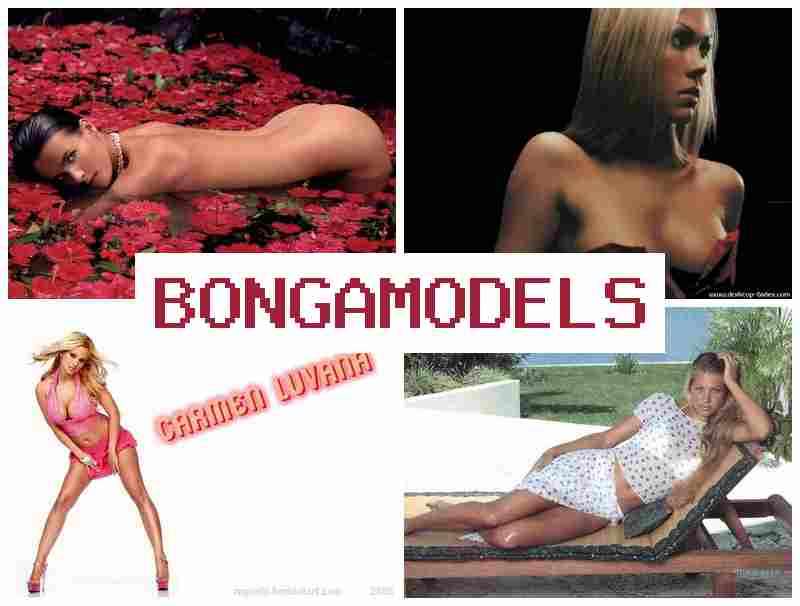 BONGA MODEL 📹 Peluang kerja model internet dengan kerja online santai dan support penuh waktu