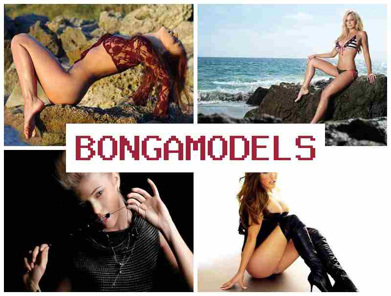 BONGA MORELS 💴 Peluang profesional online untuk pria & wanita dengan pendapatan menarik serta jadual fleksibel