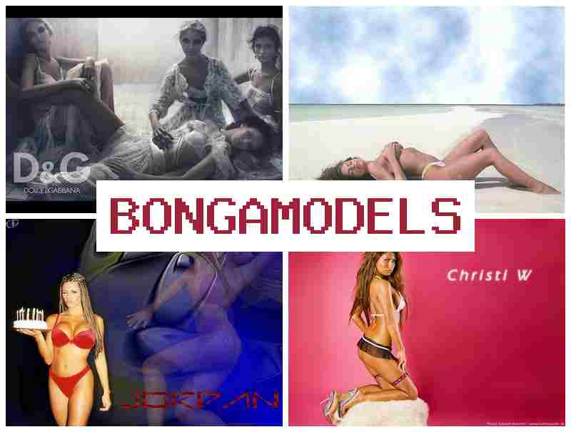 BONGOMODELS 🌟 Model video legal dan mudah dengan bayaran lumayan serta kerja bila-bila masa