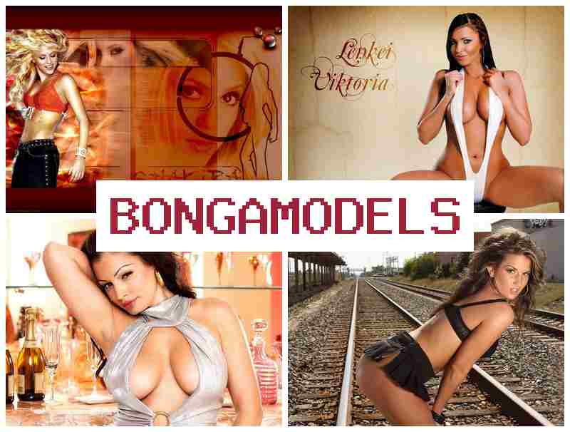 BONGO MODEL ⭕ Peluang kerja sebagai web model dari rumah, waktu kerja bebas dengan pembayaran mingguan dan sokongan 24 jam