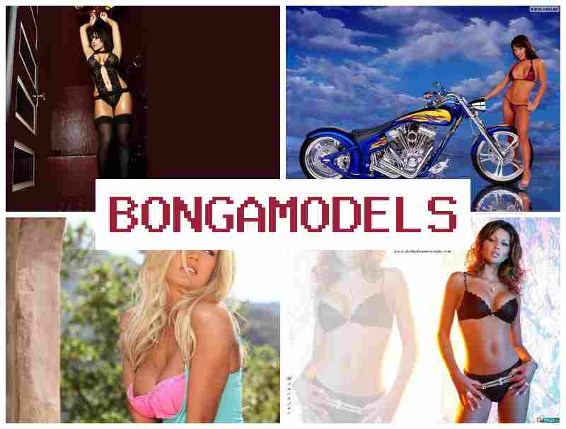 BONGAM0DELS 🆕 घरबाट इन्टरनेट मोडल बनेर राम्रो कमाई गर्नुहोस्, साप्ताहिक भुक्तानी पाउनुहोस्।