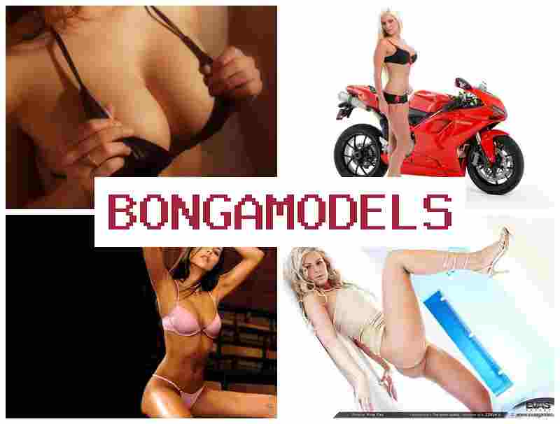BONGA MODEKS █ අත්දැකීම් නොමැති අන්තර්ජාල රැකියාව, නිවසේ සිට ස්වෛරීව සහ විශ්වාසයෙන් අත්විඳින්න.