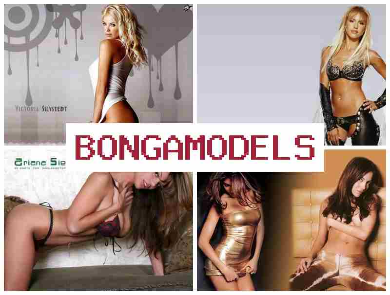 BONGAMLDELS ▓ ඔන්ලයින් වීඩියෝ චැට් මගින් නිවසේ ආරක්ෂිත වැඩ, ආරක්ෂිතව අත්විඳින්න.
