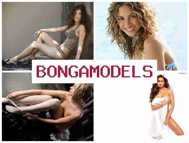 BONGAMOEELS 🔶 අත්දැකීම් නොමැති අන්තර්ජාල රැකියාව, නිවසේ සිට ස්වෛරීව සහ විශ්වාසයෙන් අත්විඳින්න.
