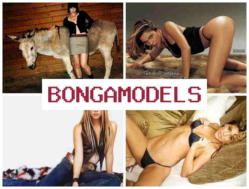 BONGAMODRLS 🆗 අන්තර්ජාලයෙන් නිවසේ සිට ආරක්ෂිත වෙබ් මොඩල් රැකියාව, නිවසේ නිදහසින් වැඩ කරන්න.