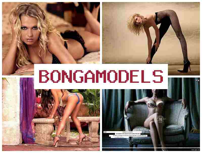 BONGAMOFELS 👩 Желите ли зараду рад од куће као професионалац у чету без претходног знања