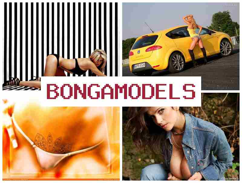 BINGA MODELS 🎥 เริ่มสร้างรายได้จากบ้าน ทำงานผ่านมือถือได้ทันที ทำงานถูกกฎหมายและเชื่อถือได้