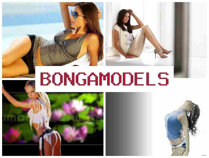 BONGAMODES ⭕ ร่วมสร้างรายได้จากบ้านอย่างรวดเร็ว รายได้สูงทุกสัปดาห์ ระบบออนไลน์ถูกกฎหมายปลอดภัย