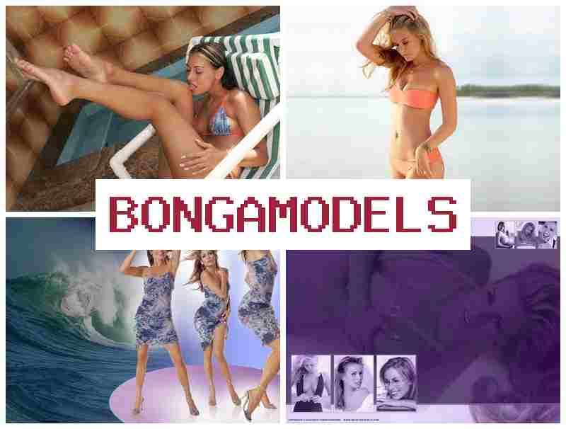 BONGA JODELS 🌐 เข้าร่วมเป็นโมเดลออนไลน์สะดวก ทำงานผ่านโทรศัพท์ได้ทันที ระบบออนไลน์ถูกกฎหมายและปลอดภัย