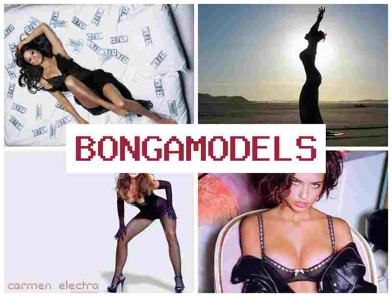 BONGA MODWLS 💏 เริ่มงานออนไลน์จากบ้าน อิสระเวลาและสถานที่ ทำงานออนไลน์ได้อย่างสบายใจ