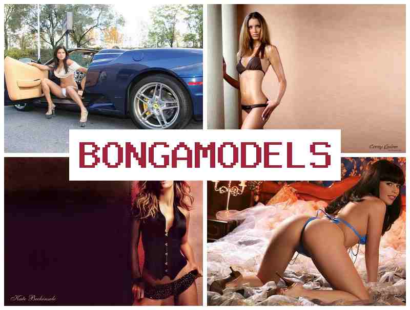 BONGA MODELD 🔔 ทำงานเป็น เว็บม็อด ด้วยโทรศัพท์ จ่ายรายสัปดาห์