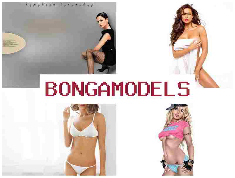 BONGA MODES 💯 Làm việc từ nhà mô hình internet, tự do giờ làm, công việc hợp pháp