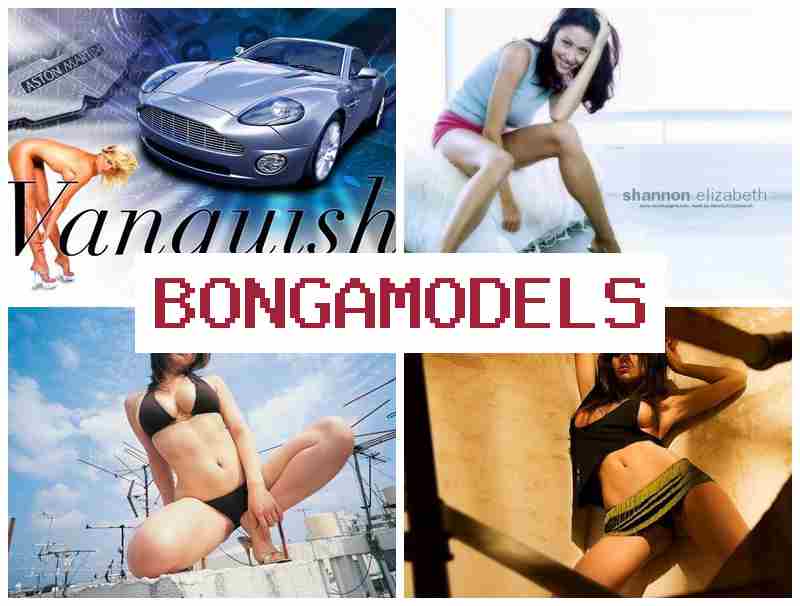 BONGAMODDLS ⚡ Gia nhập ngay tại nhà, thu nhập hấp dẫn, tự do giờ làm