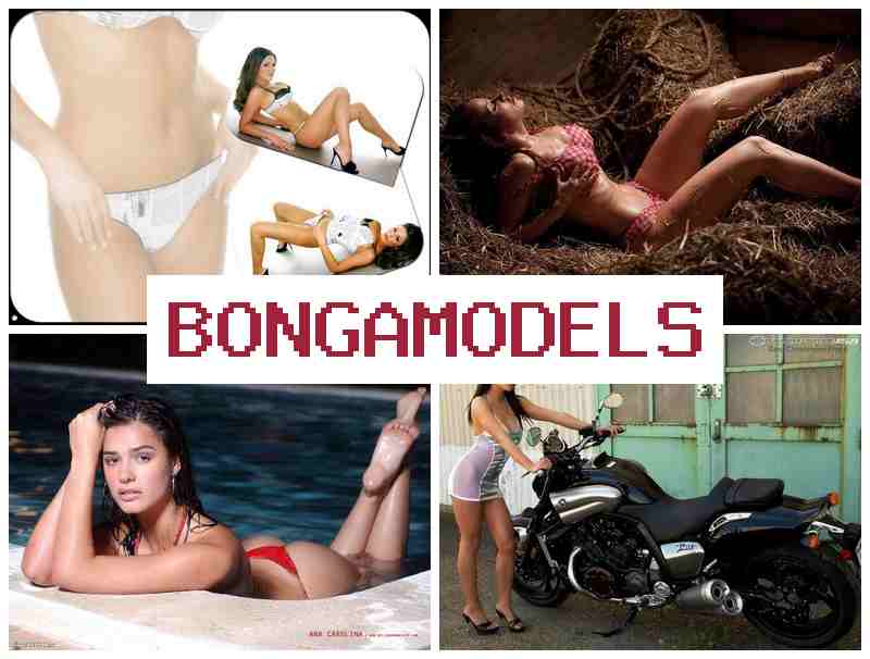 BONGA KODELS 💵 Iṣẹ fidio ni ile lori ayelujara fun lilo ẹrọ tirẹ, isanwo deede