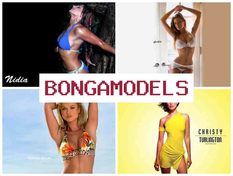 BONGAMODWLS 🌟 Ṣe ibanisọrọ lori ayelujara pẹlu akoko ominira patapata